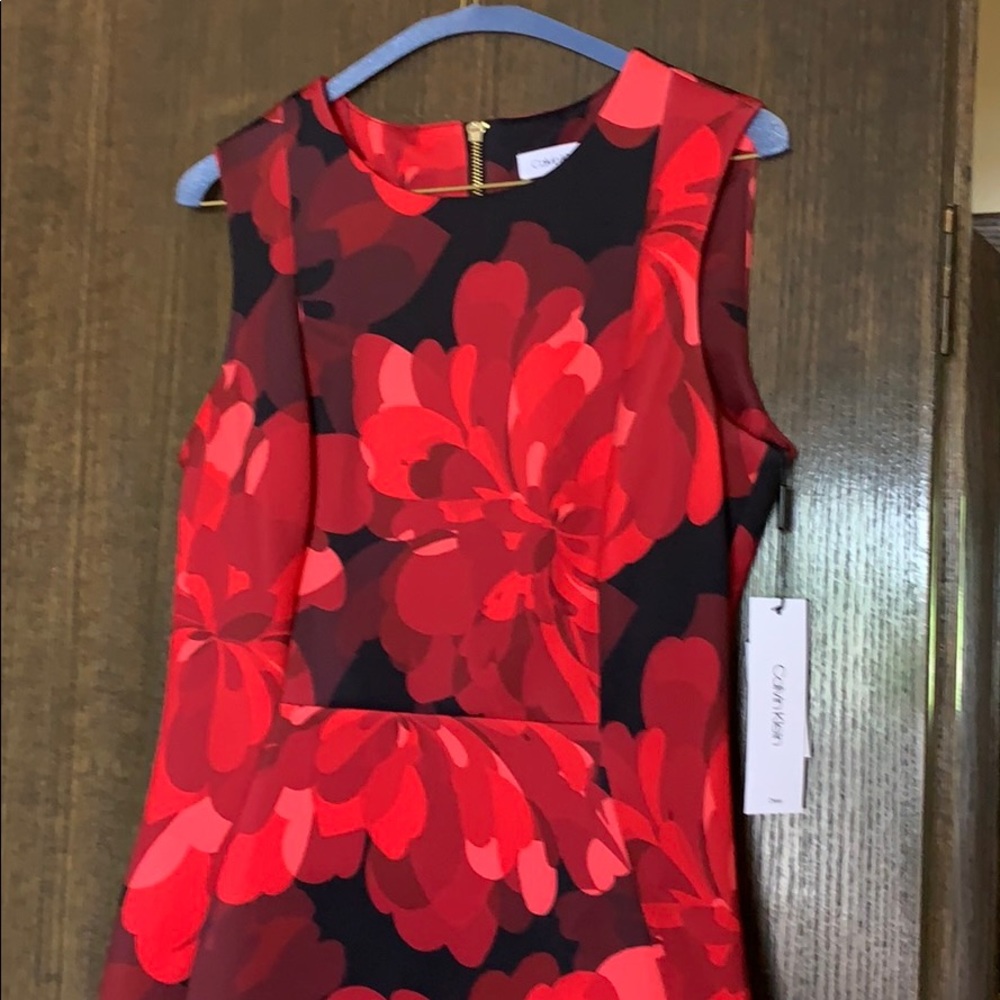 Gorgeous Calvin Klein Red and Black dress
